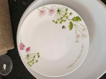 Photo of free Plates (High Wycombe HP11) #2