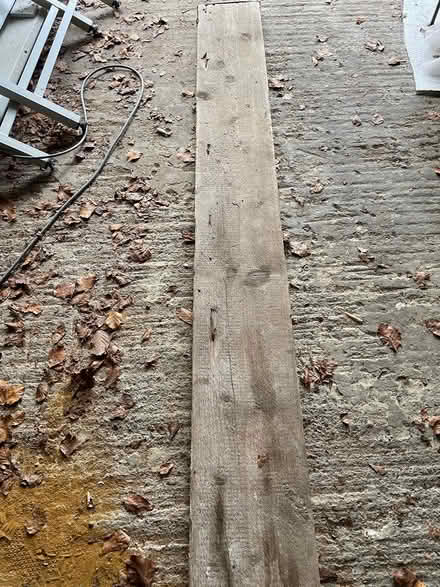 Photo of free Scaffold Plank 2.95m (CR5) #3
