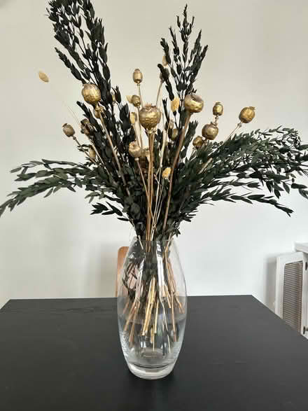 Photo of free Dried eucalyptus and poppies (Chiswick) #1
