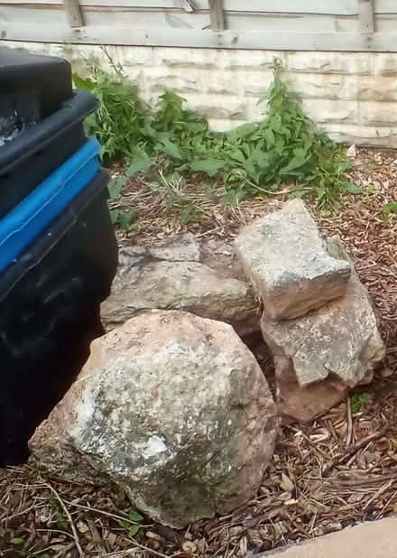 Photo of free Rockery stones (Highley WV16) #1