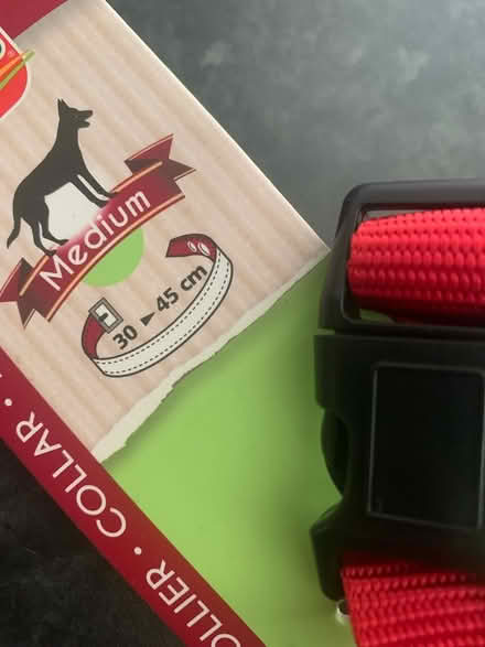 Photo of free New dog collar (SS15 laindon) #3