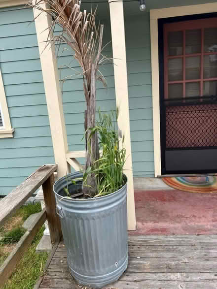 Photo of free 2 overgrown succulents, metal can (Pleasure Point) #1