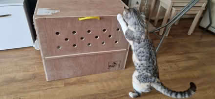 Photo of free Wooden crate (Horndean PO8) #4