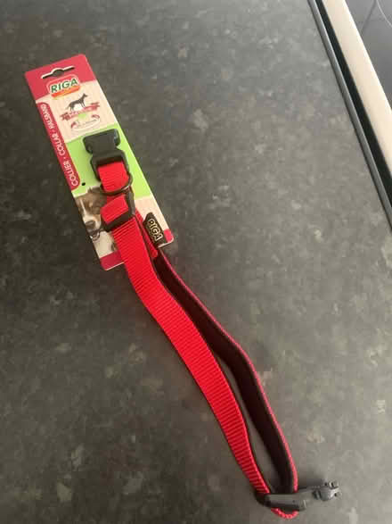 Photo of free New dog collar (SS15 laindon) #1