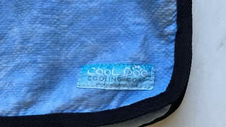 Photo of free Extra Large cool coat for dogs (Barrow upon Soar LE12) #3