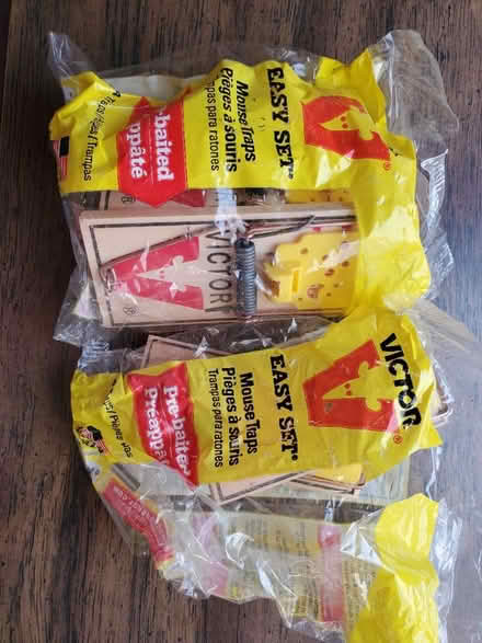 Photo of free Easy set mouse traps - 6 (Oakland/Eastlake) #1