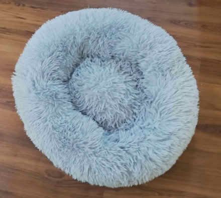 Photo of free Dog or Cat Bed (Westhampnett PO18) #1