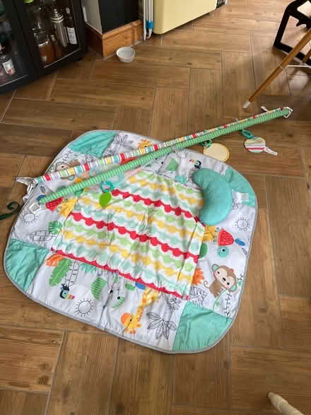 Photo of free Baby play/activity mat (Shepherds Bush) #1