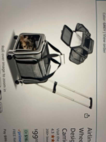 Photo of Pet carrier with wheels (Bridgewater NJ) #1