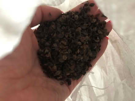 Photo of free Half a sack of Buckwheat hulls (North sheen/Richmond TW9) #2