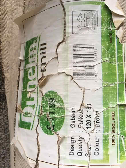 Photo of free Dunelm India rug (Cheylesmore CV3) #4