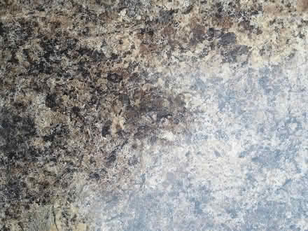Photo of free 4' x 4' countertop laminate sheet (greenbank&huntclub) #2