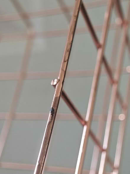 Photo of free Metal wire basket - rose gold (Meadows, NG2) #3