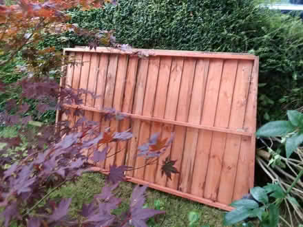 Photo of free Dismantled shed (Garsington OX44) #1