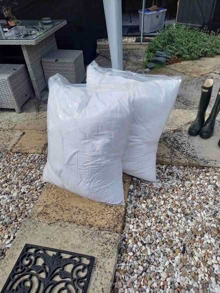 Photo of free Cushions (Purleigh CM3) #1