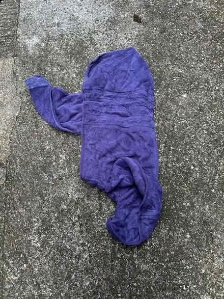 Photo of free Large towel dog drying coat (SG5 3) #1