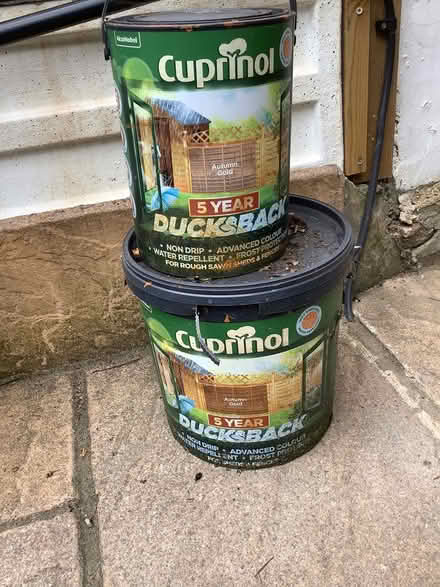 Photo of free Cuprinol Autumn Gold Wood Paint (EN2) #1