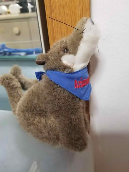 Photo of free AZ Coyote Plushie (Near Bolingbrook High School) #1