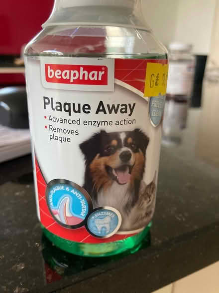 Photo of free cat/dog treatments (Shenfield) #1