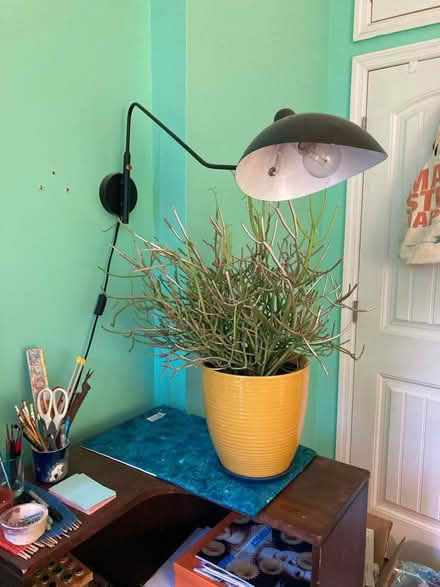 Photo of free Gooseneck wall lamp (Bed Stuy (Brooklyn)) #2