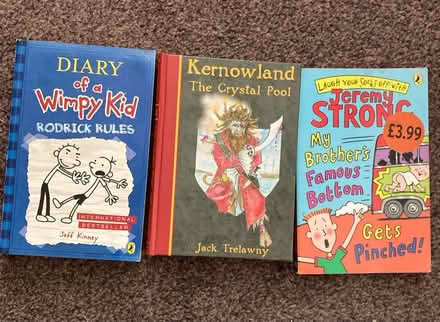 Photo of free Kids books (Chelmsford CM2) #2