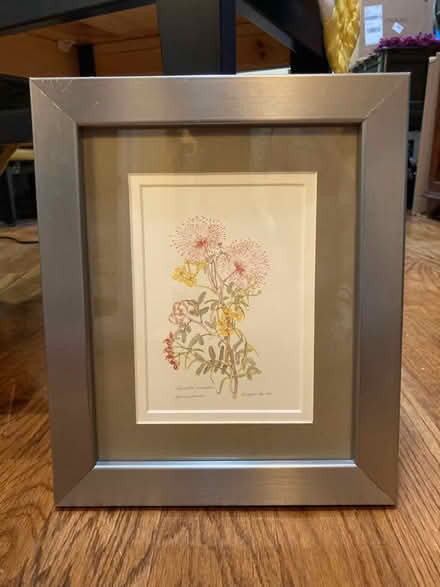 Photo of free Flower print in frame (Bed Stuy (Brooklyn)) #1