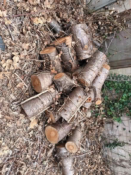 Photo of free logs (Fishermead MK6) #2