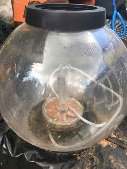 Photo of free 15ltr bio-orb (B45) #1