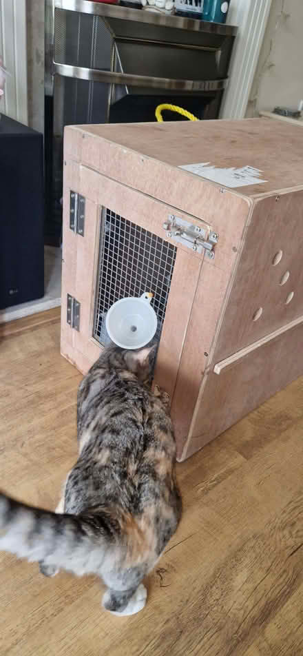 Photo of free Wooden crate (Horndean PO8) #3