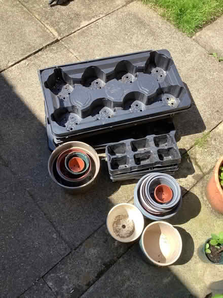 Photo of free Plant pots and trays (Abraham Heights LA1) #1
