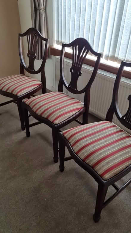 Photo of free 4 dining room chairs and devans (Glasgow G13) #2