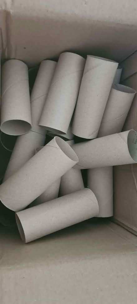 Photo of free Toiletroll tubes (x36) (Vale LA1) #1