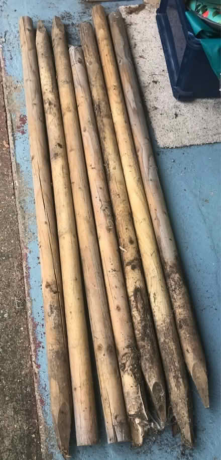 Photo of free garden stakes (CB6 Ely) #1