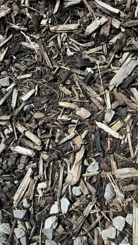 Photo of free Decorative wood aggregate (PR5) #2