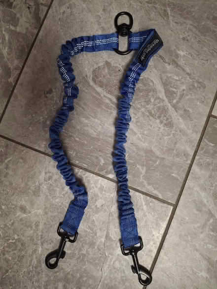 Photo of free Bungee leash (West Little Rock) #1