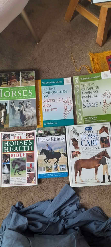 Photo of free Horse riding books for aspiring young horse-rider (Kings Heath B14) #1