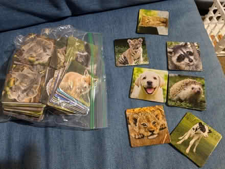 Photo of free Matching game (Baltimore area) #1