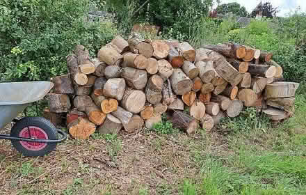 Photo of free Medium & large logs (Moggerhanger MK44) #1