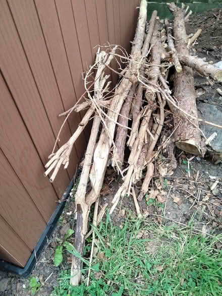 Photo of free Firewood (Sinfin DE24) #2