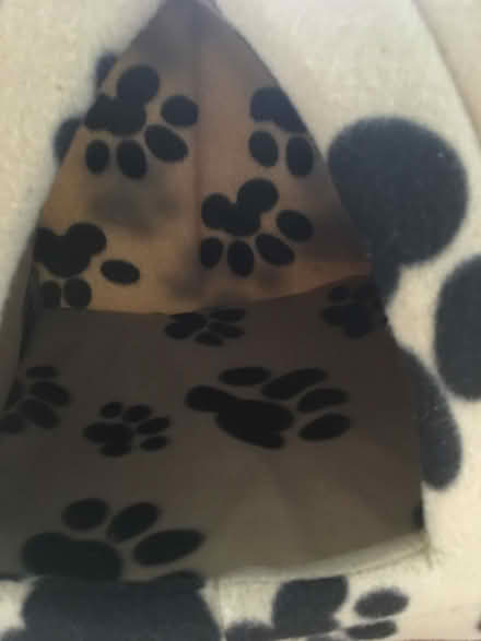 Photo of free Small cat/dog shelter (Sands HP12) #2