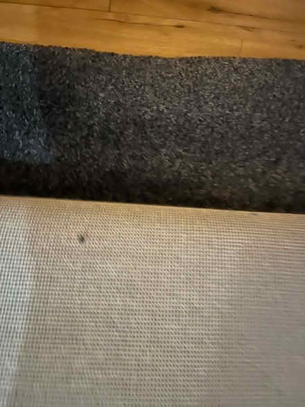 Photo of free Carpet & Underlay - must go today (Burnopfield NE16) #2