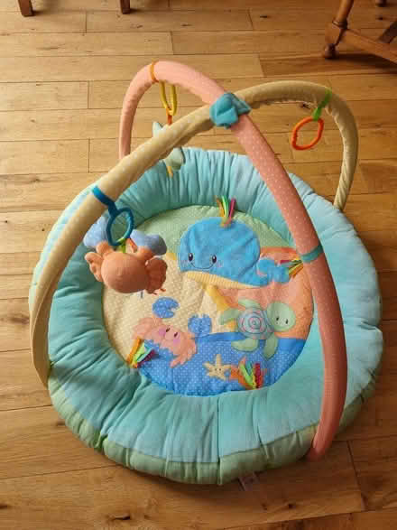 Photo of free Baby play mat (East Blatchington BN25) #1