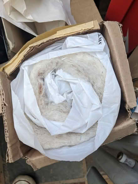 Photo of free Cardboard boxes and assorted packaging materials (Woking GU22) #2