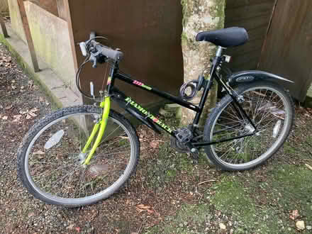 Photo of free Ladies bicycle (Thornbury EX22) #1