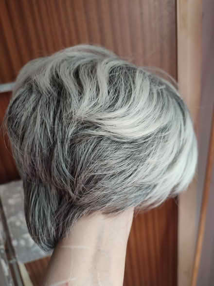 Photo of free Short Wig, salt & Pepper, short (Burbage LE10) #2