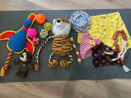 Photo of free Bag of dog bandanas and toys (Portsmouth PO2) #1