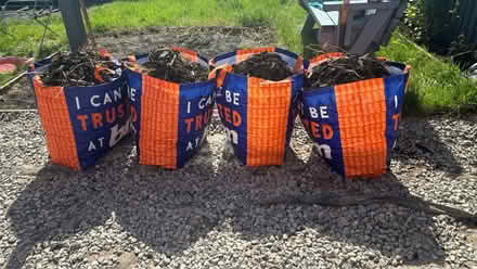 Photo of free Decorative wood aggregate (PR5) #1