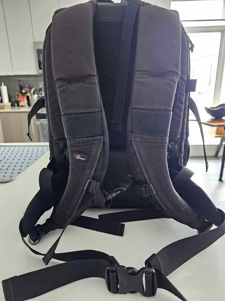Photo of free Lowepro Camera Backpack (Brighton/Lower Allston) #2