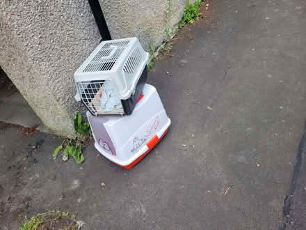 Photo of free Cat carrier and litter tray (Roseburn EH12) #2