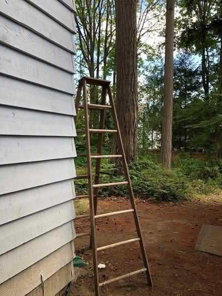 Photo of free Tall wooden ladder (Kenmore near Inglemoor H.S.)